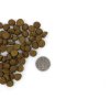 Marp Holistic Indoor CAT - pro dospělé a starší kočky 0,5kg