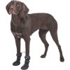 Walker Active Long, ochranné boty pro psy, 2ks, černá (Velikost botiček-Walker Active Long XL: ø 7,5-8 cm, např. rhodéský ridgeback)