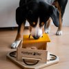 Hlavolam pro pokročilé psy My Intelligent Dogs Trouble / obtížnost 1-4