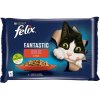Felix Cat Fantastic kapsička masový výběr v želé (Multipack 4 x 85 g)