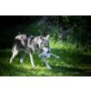Hračka Multipet Swingin Safari slon plyš 48 cm