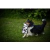 Hračka Multipet Squeaker Mat Tug kráva plyš 35,5 cm