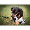 Hračka Multipet Squeaker Mat Tug kráva plyš 35,5 cm