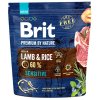 Brit Premium by Nature Dog Sensitive Lamb 1 kg