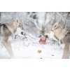 Marp Treats Buffalo Crunchies - sušená průdušnice 500g VELKÉ BALENÍ