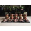 Marp Chicken konzerva pro psy s kuřecím 6x800g