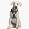 135148 1 postroj pro psy batman xxs s velikost uni