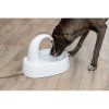 Fontánka na vodu s oblým kohoutkem, 2,5 l/25 × 24,5 × 35 cm, plast, bílá