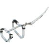 JUNIOR postroj s vodítkem pro štěňata, světlešedá (Velikost JUNIOR postroje s vodítkem M-L: 27-45 cm/10 mm, 2,00 m)