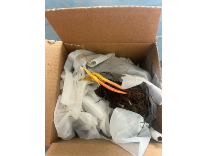 image6