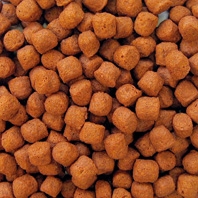 Krmivo pro Koi kapry Orange - 6mm Položka: Krmivo pro Koi kapry Orange - 6mm / kyblík 2l (950g)