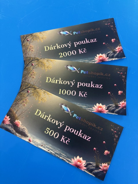 Dárkový poukaz 500 Kč