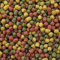 Krmivo pro Koi kapry - tříbarevné krmivo 3 mm Velikost: Tříbarevné krmivo 3mm 800g 2l kyblík