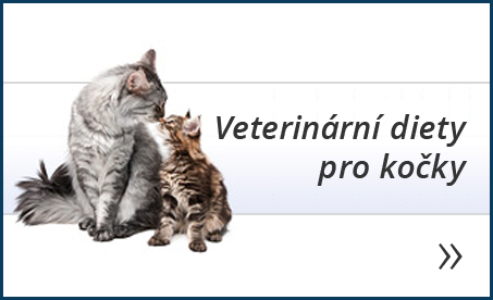 Veterinární diety pro kočky