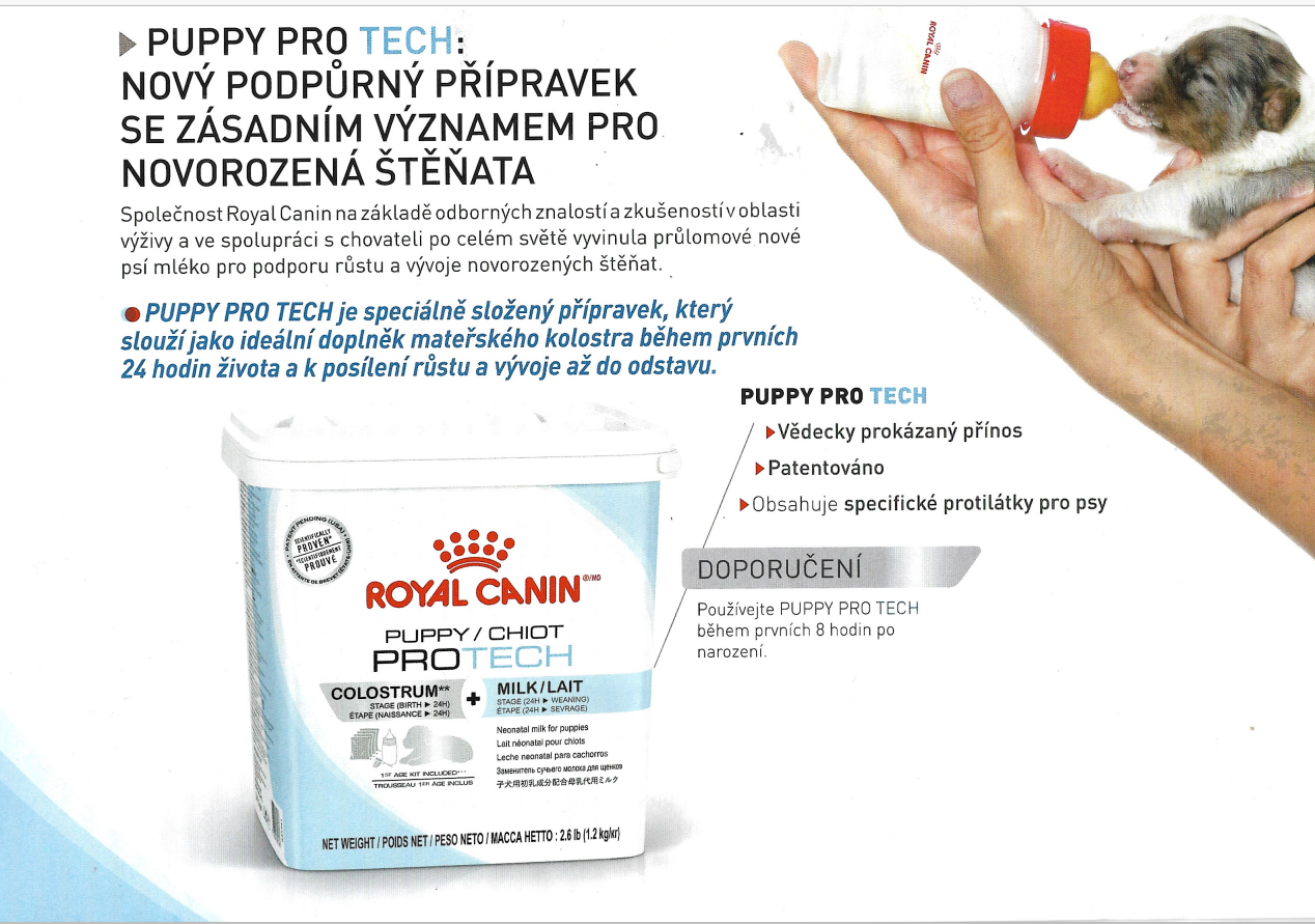 Royalcanin