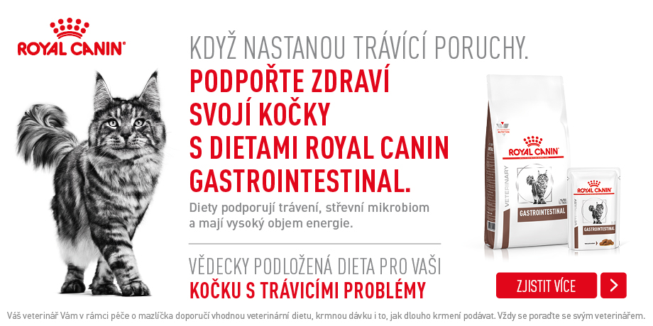 Banner Gastrointestinal kočka