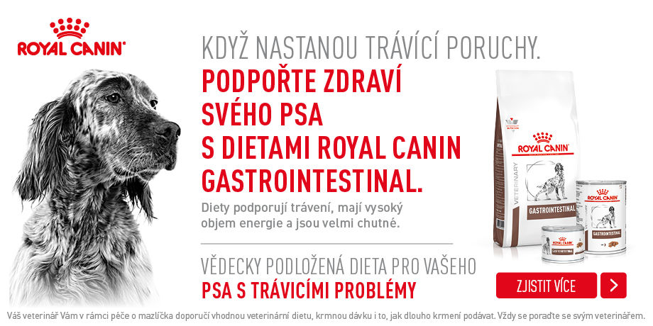 Banner Gastro pes