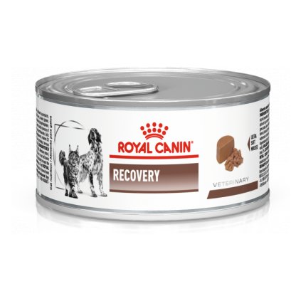 veterinary diet recovery feline canine can