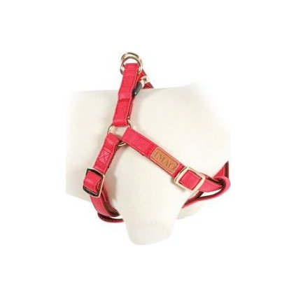 dc22f2dd8b2dafb7040b72e7310d6416