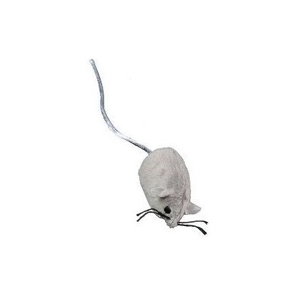 e038ab999c8ef3ec0e5fa318232f39af