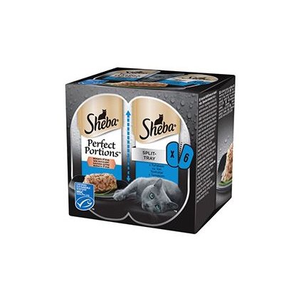 0c8687a5f00cde35caa51abced937180