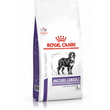 veterinary care dog mature consult large