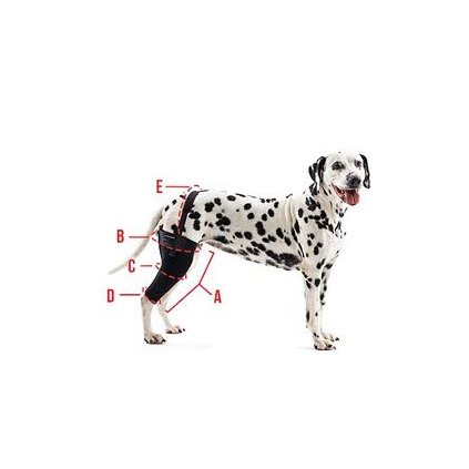 ccc3d0ae22f9064f3025e7bf1456c09c