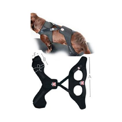 b09944d35d471ff10d7d0c623dbe0b62