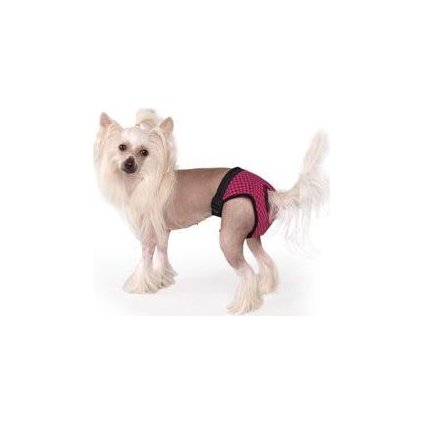 1ff14940625d72c92efde7a2de581954