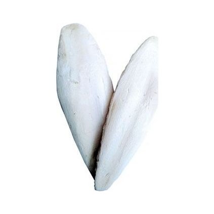 9d79820adf894264d60072d2d99f9517