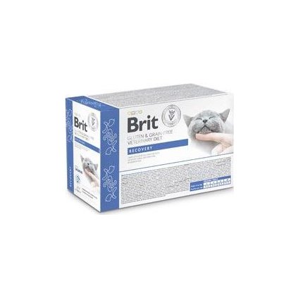 Brit VD Cat Pouch fillets in Gravy Recovery 12x85g