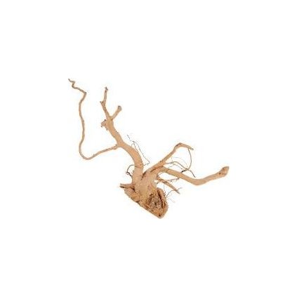 2e9374c451d20716f6d08dd4ff35c83c