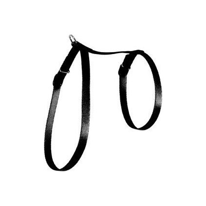 294b537bc48757220a979829b6717207