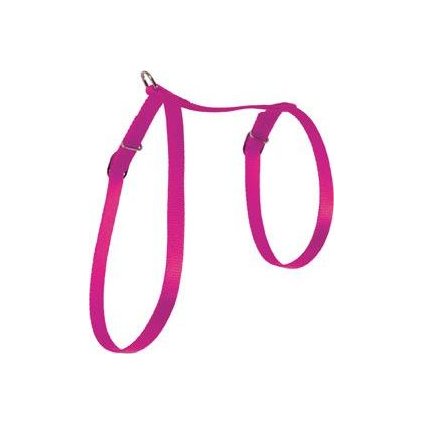 24e033904d9f066d78b8f59926db3bbe