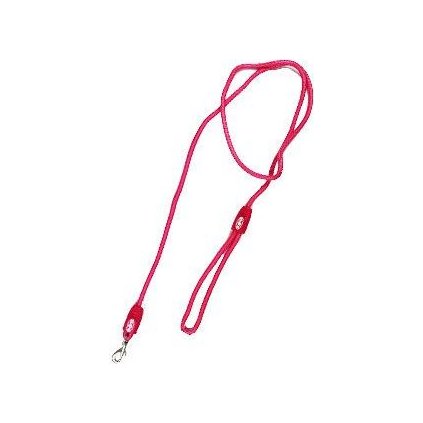 d5f2fdb07d1c83e9564a66f2c6a3b35c