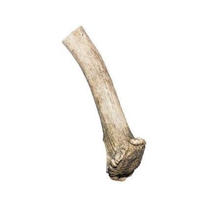 92f655f985812a0c61aa21d699c3fba8