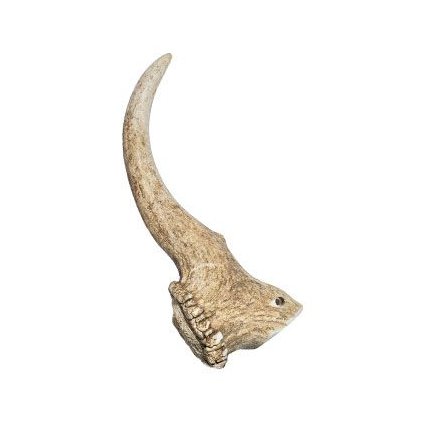 e6f29687b8429e7141effdc3ec3224c4