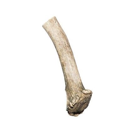 60eb34c75c45ddf252618057aa508f85