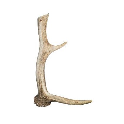 e3484b97310f5b4d280f2e2253878c0d