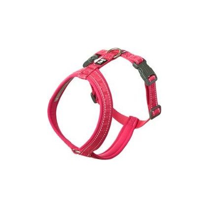 ddb9ab25982eee19931d0a043884d502