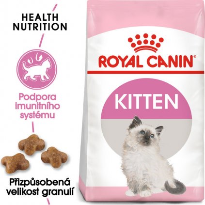 kitten 5