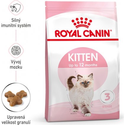 kitten 27