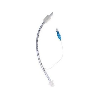 eea6508a6a742019fc40dc6f59271bab