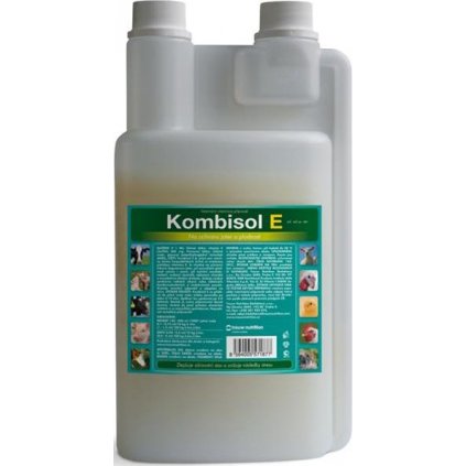 Kombisol E a.u.v. sol 1000 ml