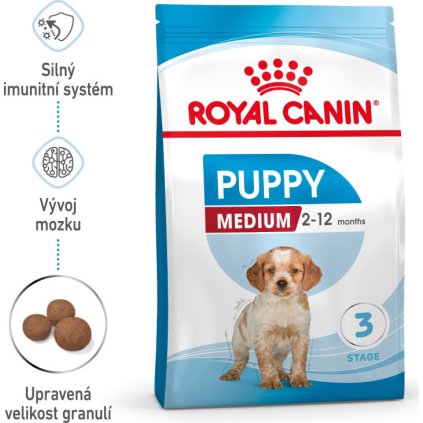 medium puppy 33