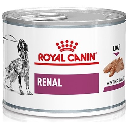 renal konz