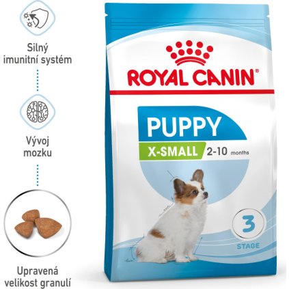 x small puppy 31