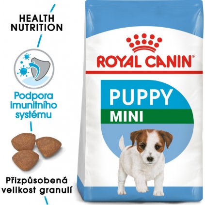 mini puppy 21