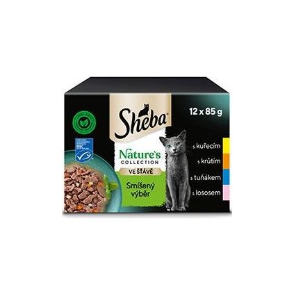 37487e9d73a59631297038339c5bffbb