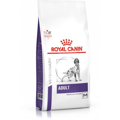 veterinary care dog adult